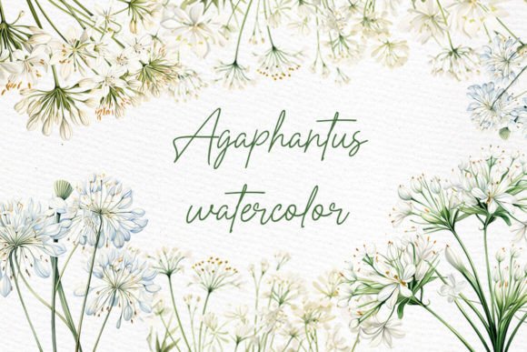 Download White Wild Flowers Clipart Watercolor - Wild Collection