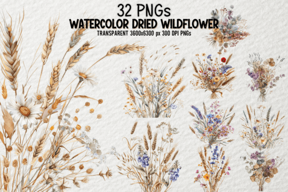 Download Watercolor Dried Wildflower Bundle PNG - Wild Collection