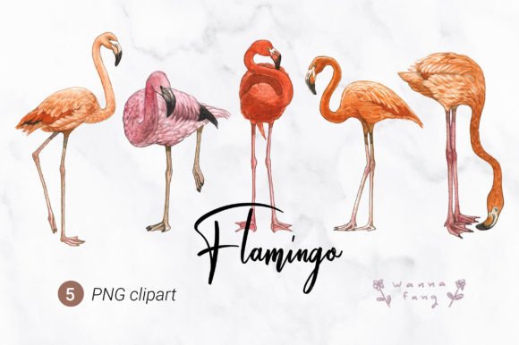 Download Flamingo Watercolor Animal Clipart, PNG - Watercolor animal Collection