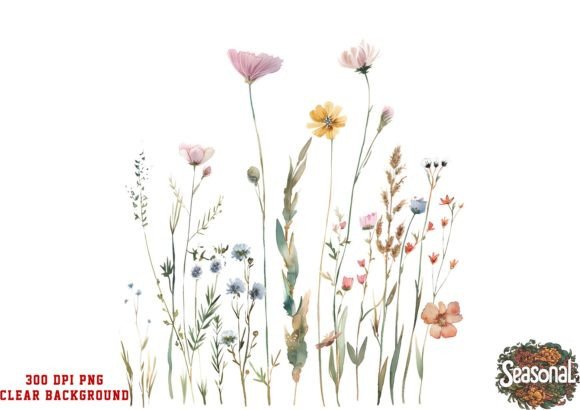 Download Delicate Wildflower Art - Wild Collection