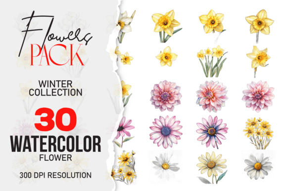 Download Wild Floral Clipart Watercolor Flowers - Wild Collection