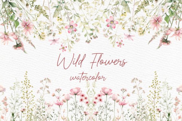 Download Wild Flowers Clipart Field Meadow Flower - Wild Collection